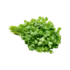 Grocerz - Fresh Coriander | 1 Bunch