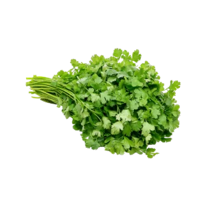 Grocerz – Fresh Coriander | 1 Bunch